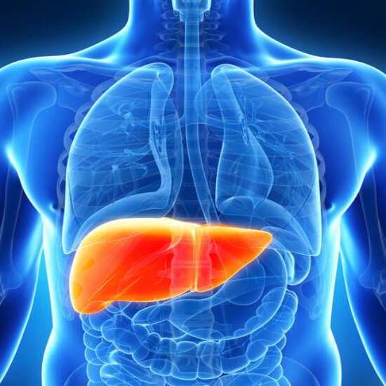 liver function tests (lft)